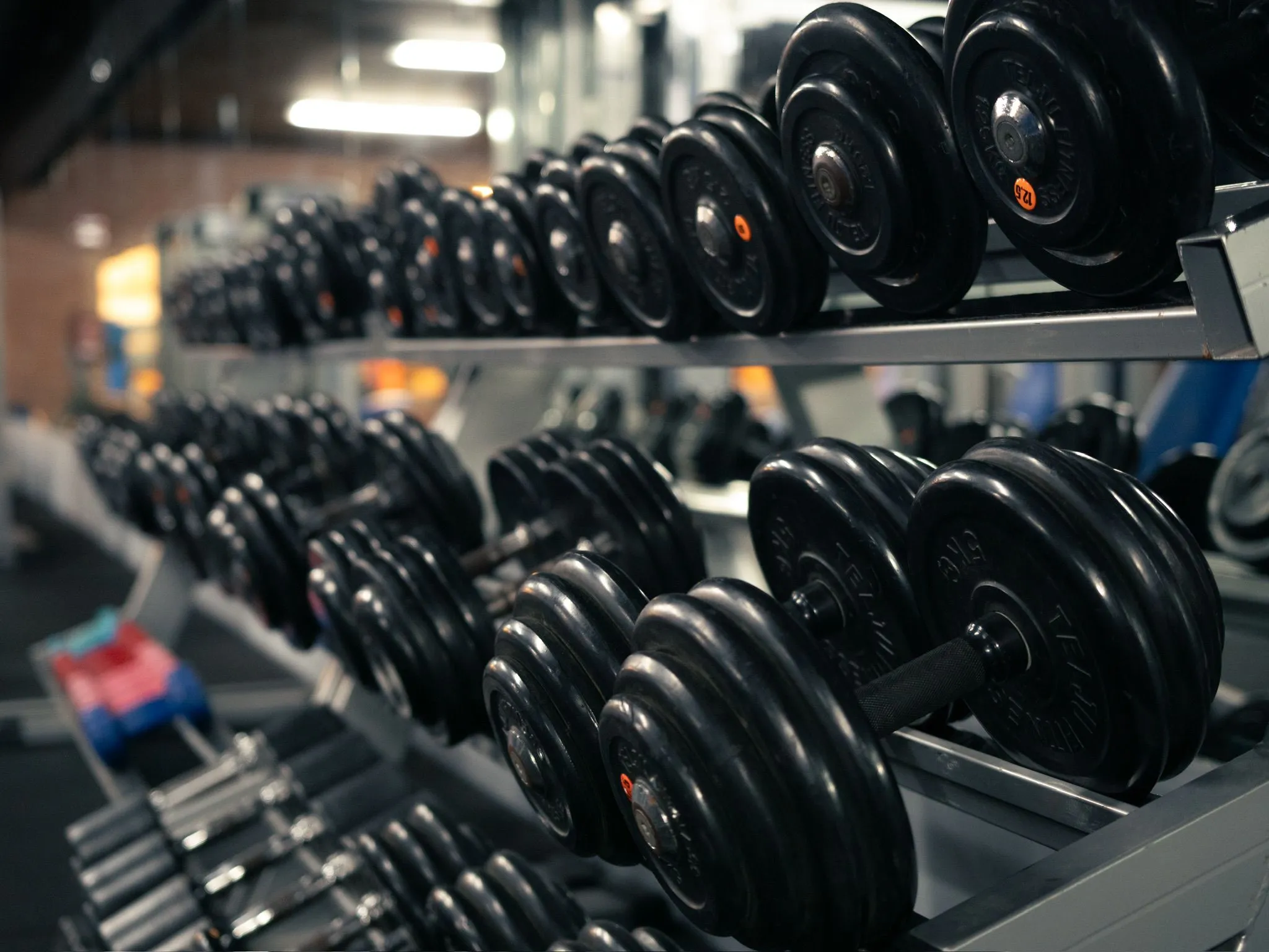 Estantes llenos de pesas